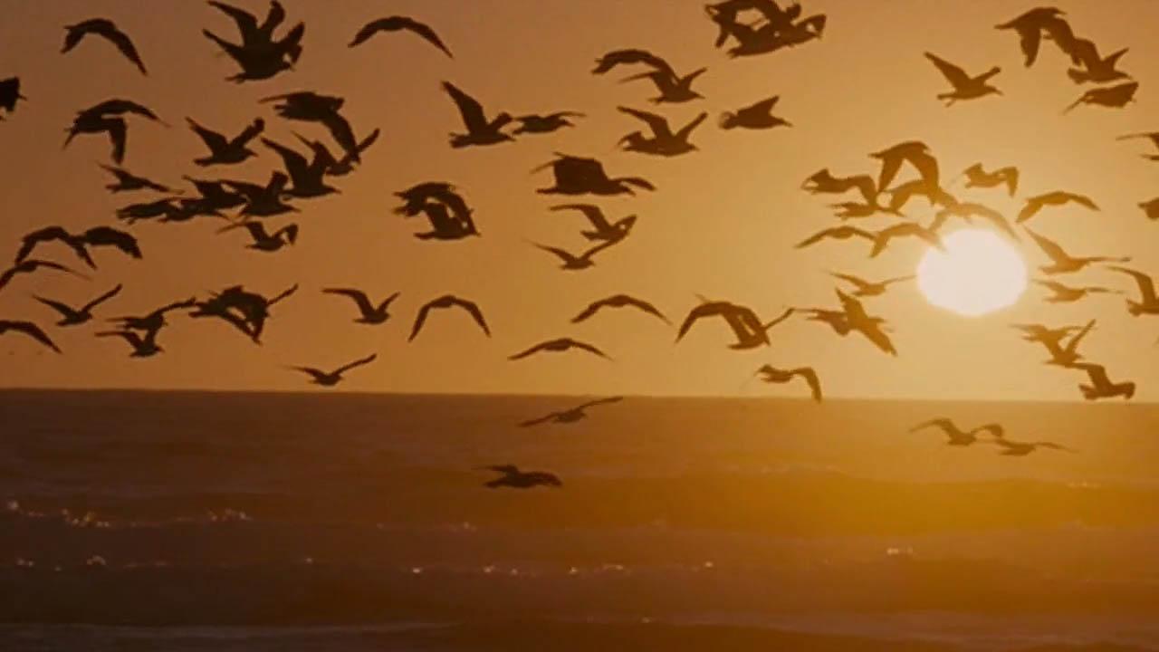 Vision Film Club Med pour Publicis